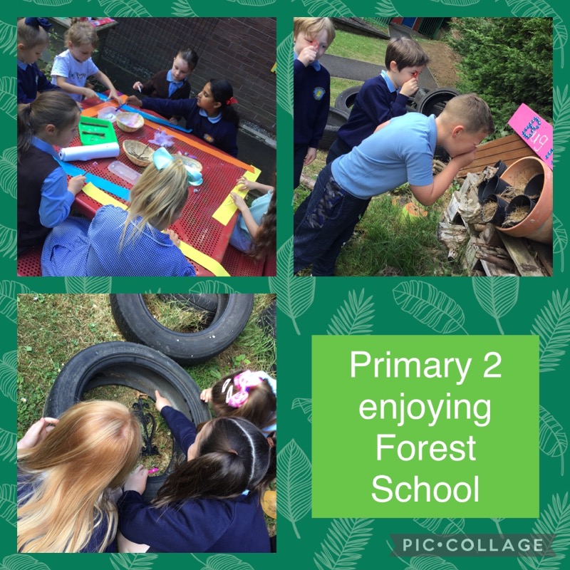 St Thérèse of Lisieux Primary School, Belfast